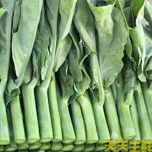 蔬菜配送—芥蘭(圖1)