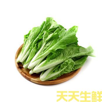 蔬菜配送—小白菜(圖1)