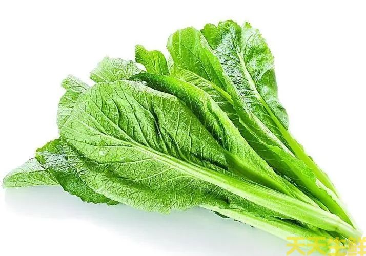 蔬菜配送—春菜(圖1)