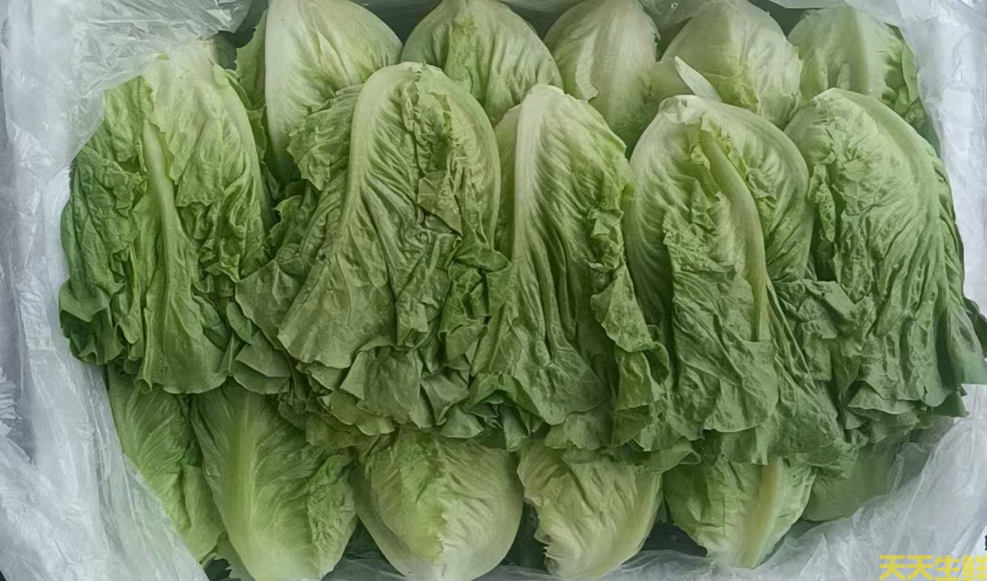 2024年7.8月份蔬菜價(jià)格為什么連續(xù)上漲(圖1)