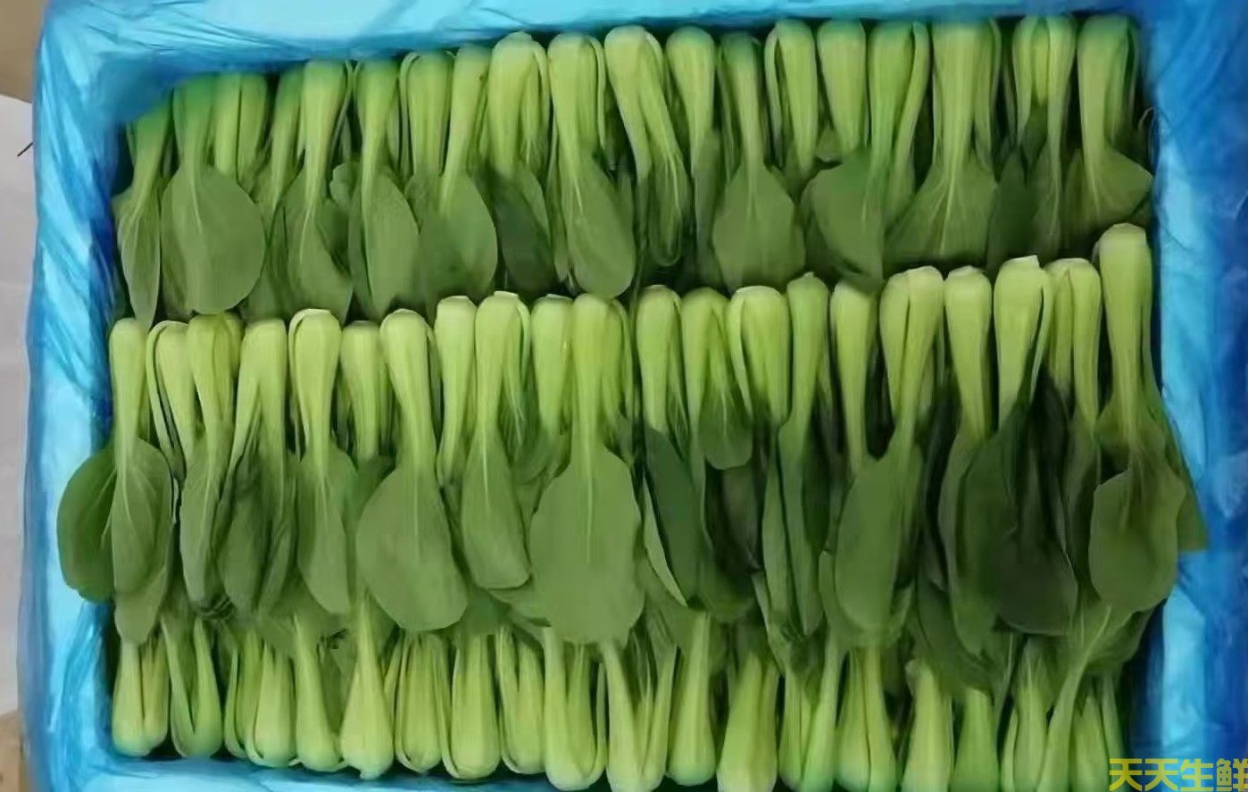 2024年7.8月份蔬菜價(jià)格為什么連續(xù)上漲(圖2)