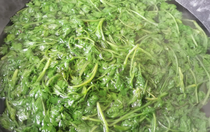 關(guān)于艾葉，你知道多少？(圖2)